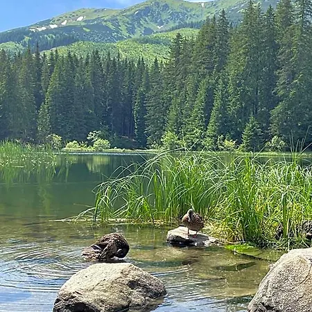Mikulasska Отель Dubrava