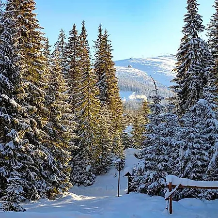 Mikulasska 3* Dubrava